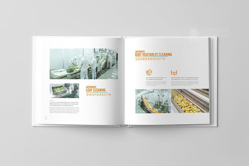 鲜誉品牌画册 以策划为笔，绘制企业品牌形象新篇章